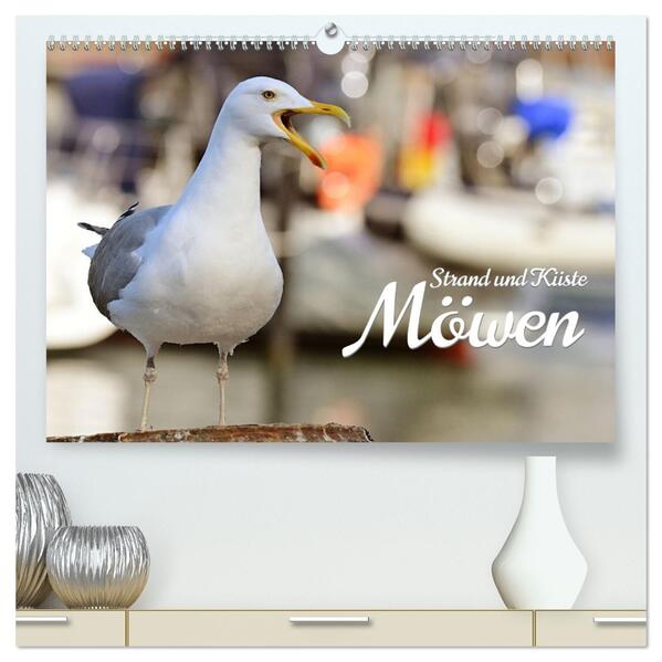 Strand und Küste - Möwen (hochwertiger Premium Wandkalender 2026 DIN A2 quer) Kunstdruck in Hochglanz