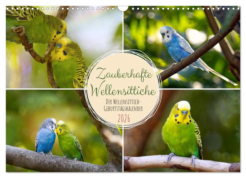 Zauberhafte Wellensittiche (Wandkalender 2026 DIN A3 quer) CALVENDO Monatskalender