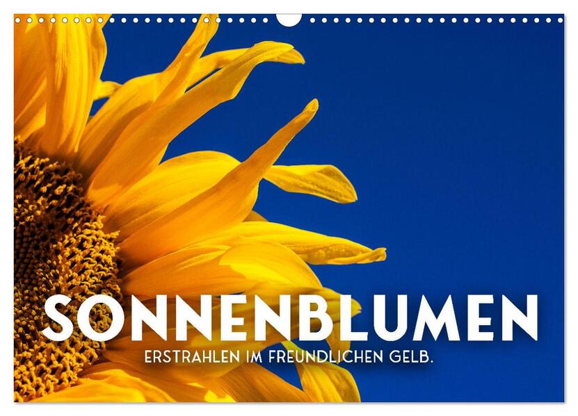 Sonnenblumen - Erstrahlen im freundlichen Gelb. (Wandkalender 2026 DIN A3 quer) CALVENDO Monatskalender