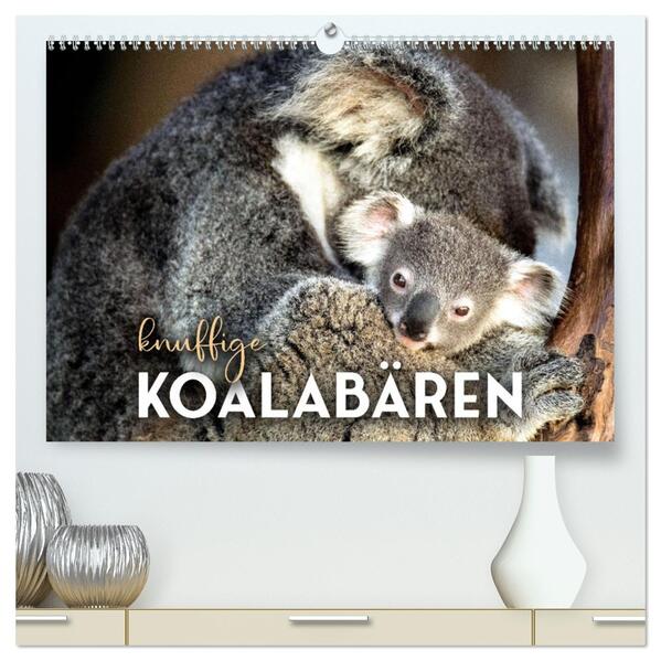 Knuffige Koalabären (hochwertiger Premium Wandkalender 2026 DIN A2 quer) Kunstdruck in Hochglanz