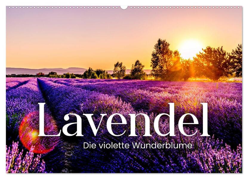 Lavendel - Die violette Wunderblume (Wandkalender 2026 DIN A2 quer) CALVENDO Monatskalender