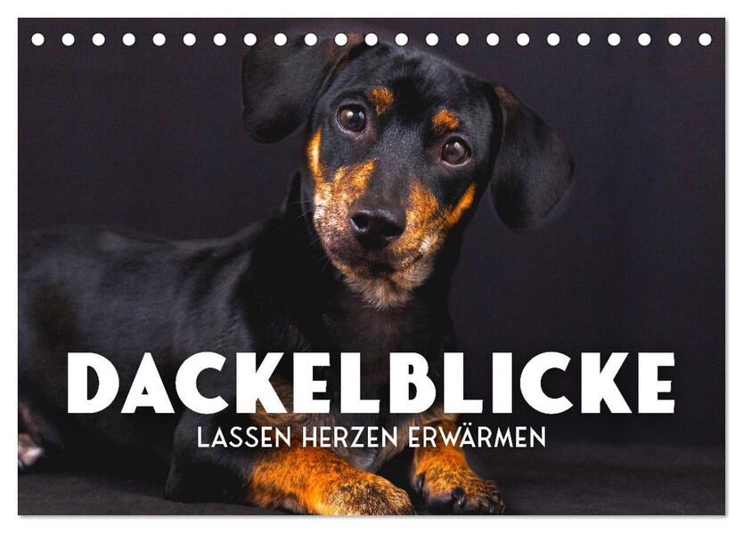 Dackelblicke - Lassen Herzen erwärmen. (Tischkalender 2026 DIN A5 quer) CALVENDO Monatskalender