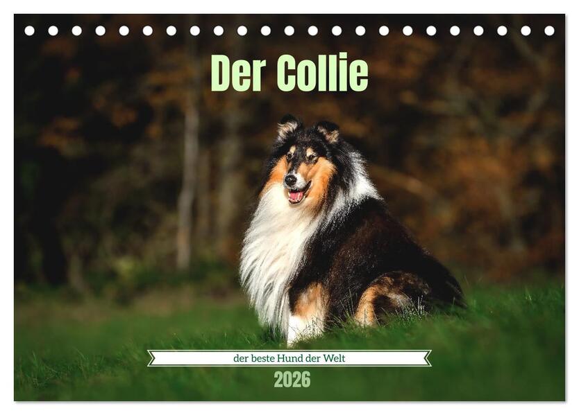 Der Collie der beste Hund der Welt (Tischkalender 2026 DIN A5 quer) CALVENDO Monatskalender