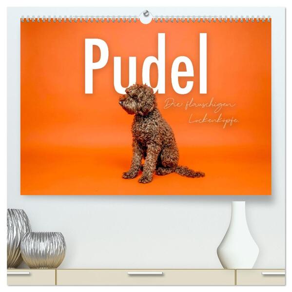 Pudel - Die flauschigen Lockenköpfe. (hochwertiger Premium Wandkalender 2026 DIN A2 quer) Kunstdruck in Hochglanz