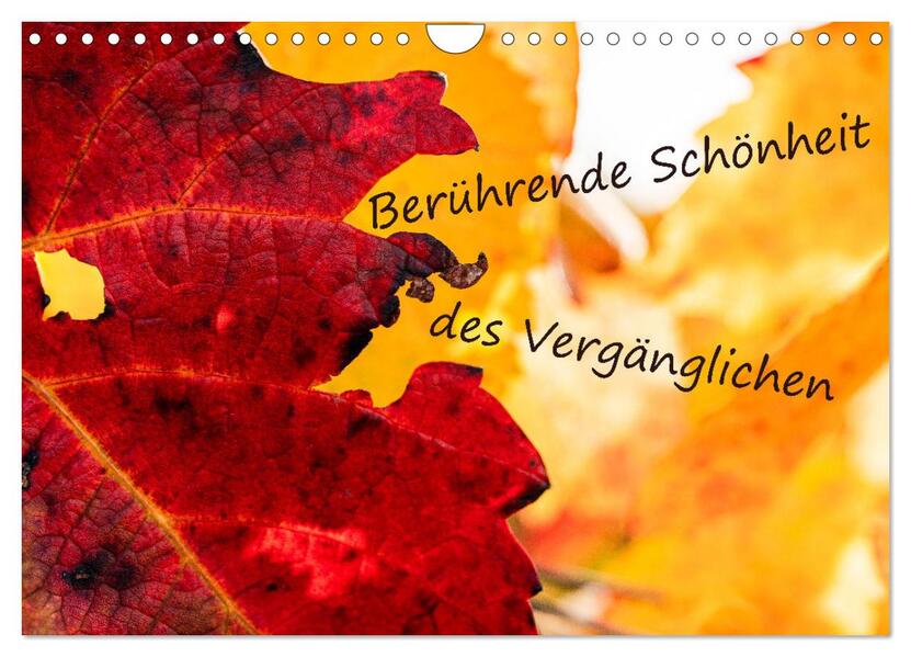 Berührende Schönheit des Vergänglichen (Wandkalender 2026 DIN A4 quer) CALVENDO Monatskalender