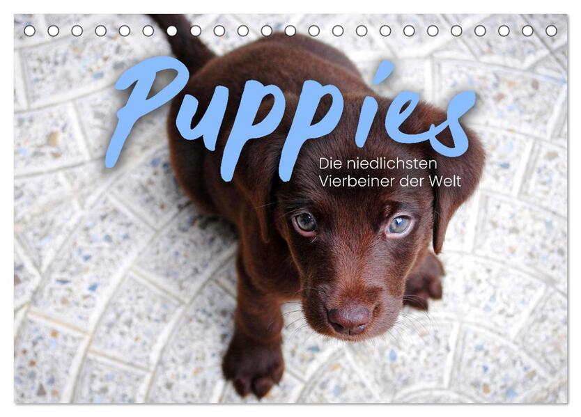 Puppies - Die niedlichsten Vierbeiner der Welt. (Tischkalender 2026 DIN A5 quer) CALVENDO Monatskalender