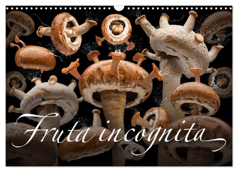 Fruta incognita - Die wundersame Welt des Fotografen Olaf Bruhn (Wandkalender 2026 DIN A3 quer) CALVENDO Monatskalender