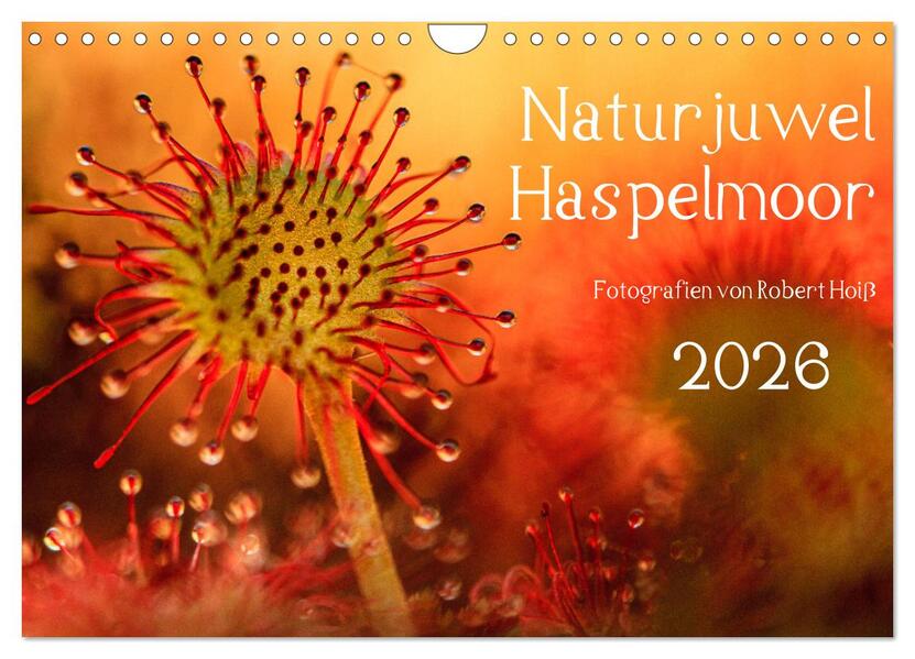 Naturjuwel Haspelmoor (Wandkalender 2026 DIN A4 quer) CALVENDO Monatskalender