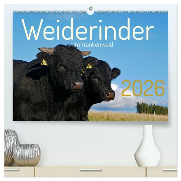 Weiderinder im Frankenwald (hochwertiger Premium Wandkalender 2026 DIN A2 quer) Kunstdruck in Hochglanz