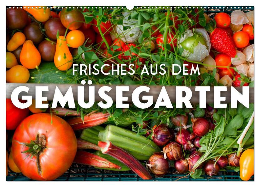 Frisches aus dem Gemüsegarten (Wandkalender 2026 DIN A2 quer) CALVENDO Monatskalender