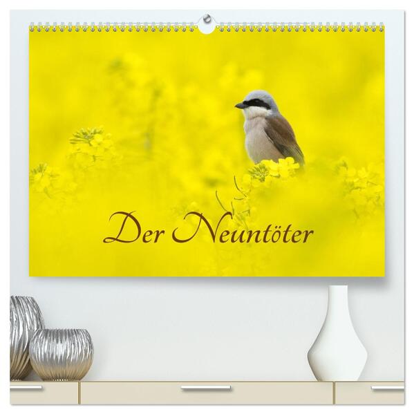 Der Neuntöter (hochwertiger Premium Wandkalender 2026 DIN A2 quer) Kunstdruck in Hochglanz