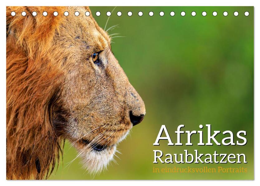 Afrikas Raubkatzen in eindrucksvollen Portraits (Tischkalender 2026 DIN A5 quer) CALVENDO Monatskalender
