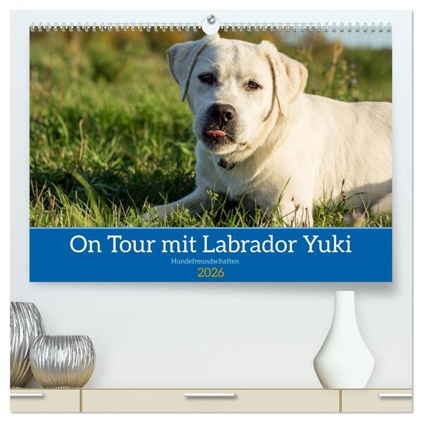 On Tour mit Labrador Yuki (hochwertiger Premium Wandkalender 2026 DIN A2 quer) Kunstdruck in Hochglanz