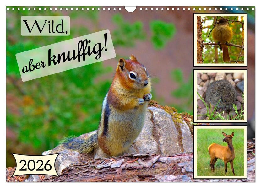 Wild aber knuffig! (Wandkalender 2026 DIN A3 quer) CALVENDO Monatskalender
