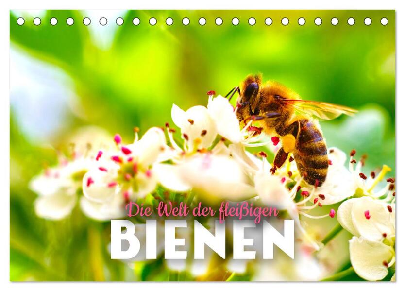 Die Welt der fleißigen Bienen (Tischkalender 2026 DIN A5 quer) CALVENDO Monatskalender
