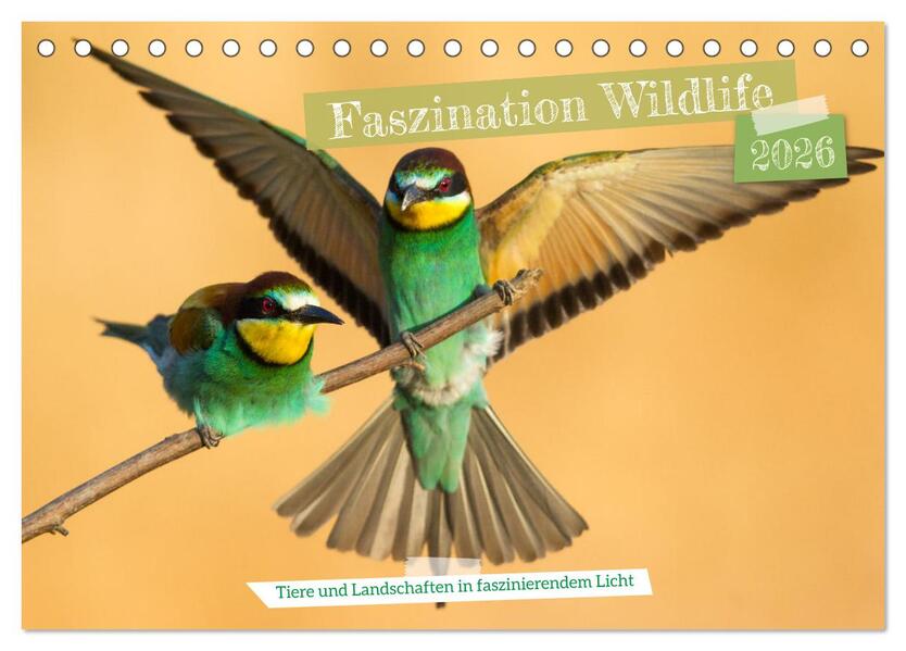 Faszination Wildlife (Tischkalender 2026 DIN A5 quer) CALVENDO Monatskalender