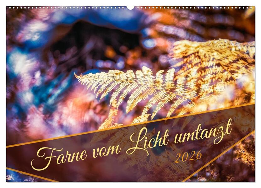Farne vom Licht umtanzt (Wandkalender 2026 DIN A2 quer) CALVENDO Monatskalender