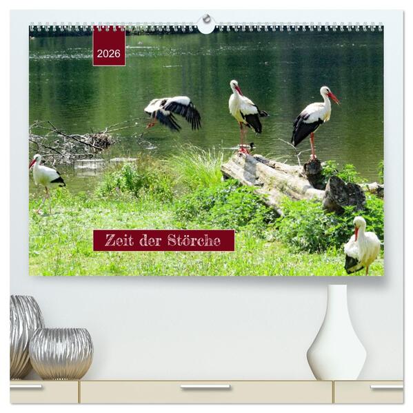 Zeit der Störche (hochwertiger Premium Wandkalender 2026 DIN A2 quer) Kunstdruck in Hochglanz