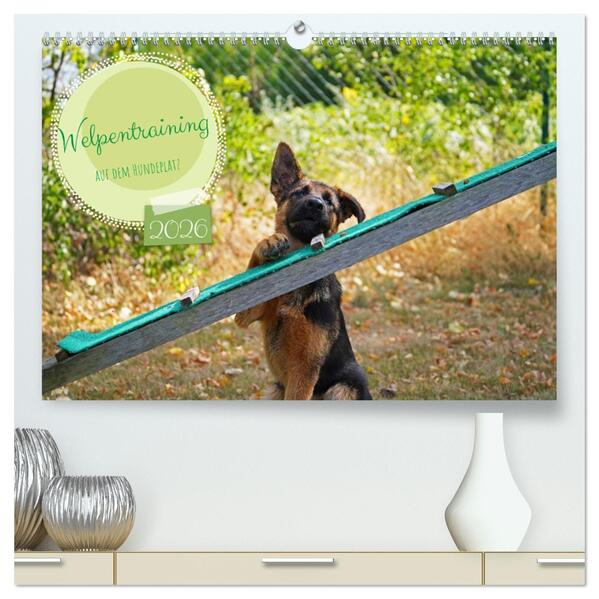 Welpentraining auf dem Hundeplatz (hochwertiger Premium Wandkalender 2026 DIN A2 quer) Kunstdruck in Hochglanz