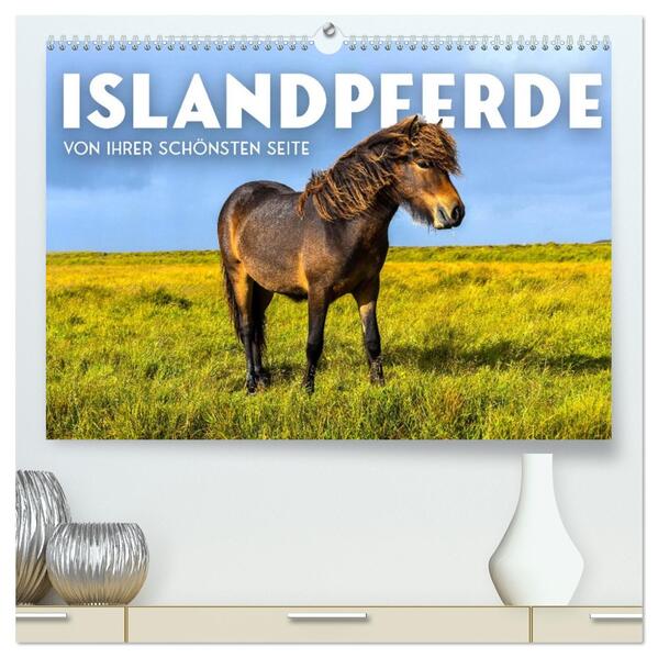 Islandpferde - Von ihrer schönsten Seite (hochwertiger Premium Wandkalender 2026 DIN A2 quer) Kunstdruck in Hochglanz