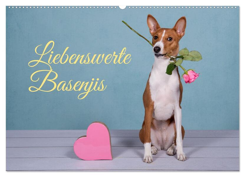 Liebenswerte Basenjis (Wandkalender 2026 DIN A2 quer) CALVENDO Monatskalender