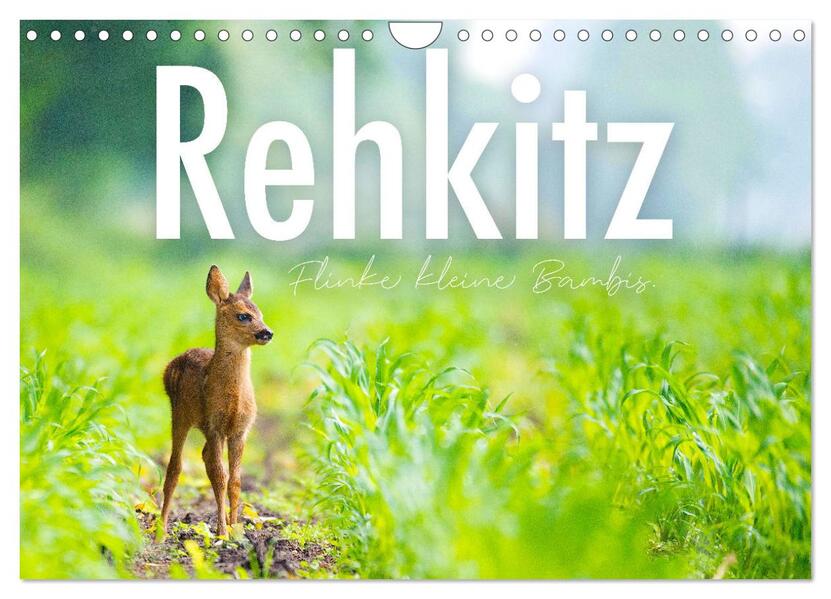 Rehkitz - Flinke kleine Bambis. (Wandkalender 2026 DIN A4 quer) CALVENDO Monatskalender