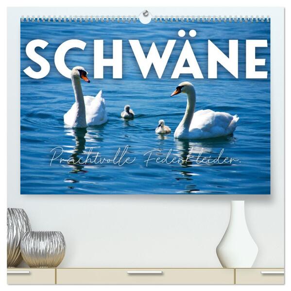 Schwäne - Prachtvolle Federkleider. (hochwertiger Premium Wandkalender 2026 DIN A2 quer) Kunstdruck in Hochglanz