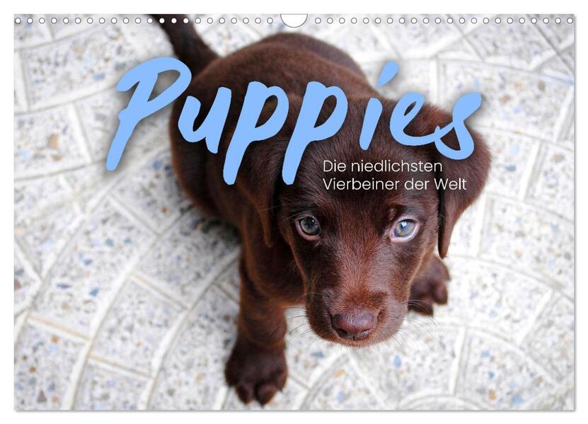 Puppies - Die niedlichsten Vierbeiner der Welt. (Wandkalender 2026 DIN A3 quer) CALVENDO Monatskalender