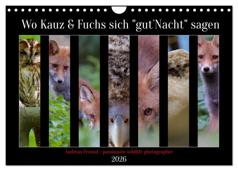 Wo Kauz & Fuchs sich 'gut`Nacht' sagen (Wandkalender 2026 DIN A4 quer) CALVENDO Monatskalender