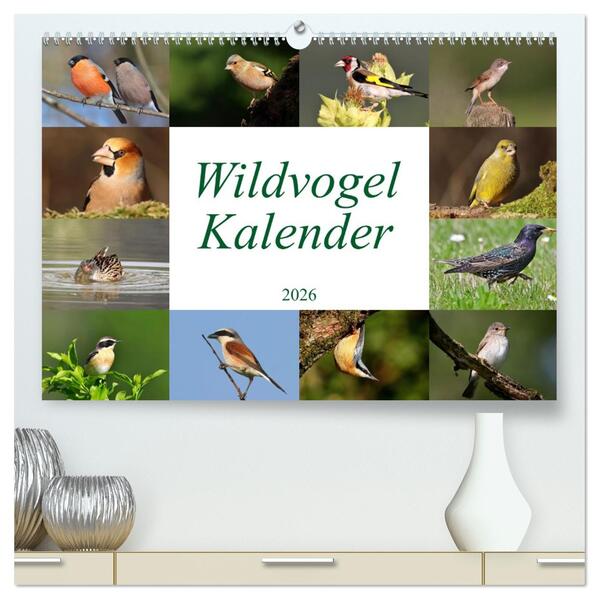 Wildvogelkalender (hochwertiger Premium Wandkalender 2026 DIN A2 quer) Kunstdruck in Hochglanz