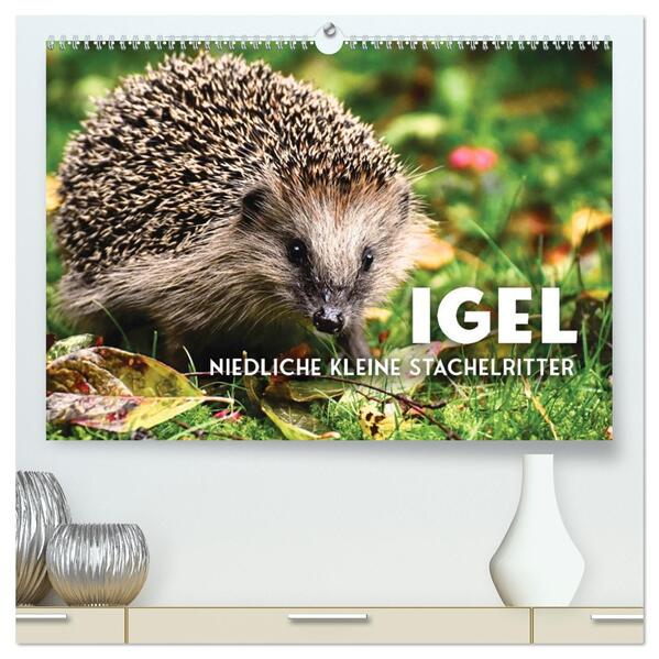 Igel - Niedliche kleine Stachelritter (hochwertiger Premium Wandkalender 2026 DIN A2 quer) Kunstdruck in Hochglanz