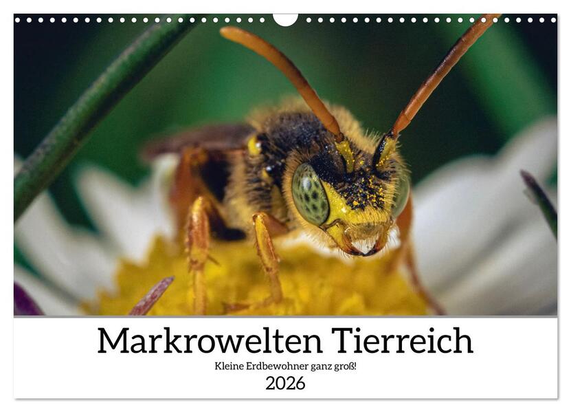 Makrowelten Tierreich (Wandkalender 2026 DIN A3 quer) CALVENDO Monatskalender