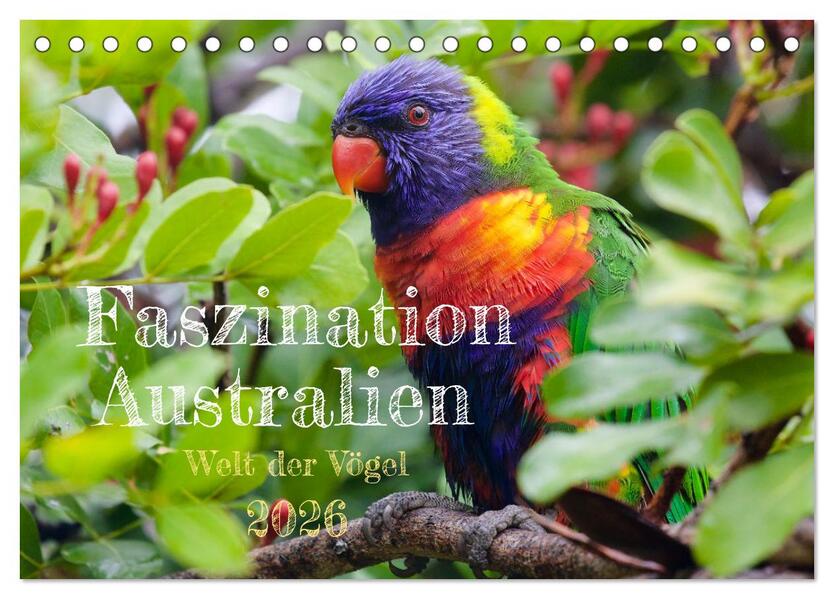 Faszination Australien - Welt der Vögel (Tischkalender 2026 DIN A5 quer) CALVENDO Monatskalender