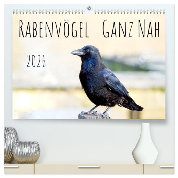 Rabenvögel - ganz nah (hochwertiger Premium Wandkalender 2026 DIN A2 quer) Kunstdruck in Hochglanz