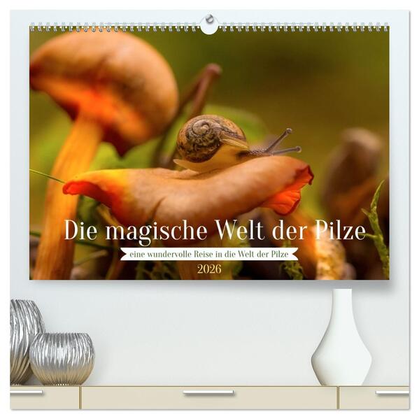 Die magische Welt der Pilze (hochwertiger Premium Wandkalender 2026 DIN A2 quer) Kunstdruck in Hochglanz
