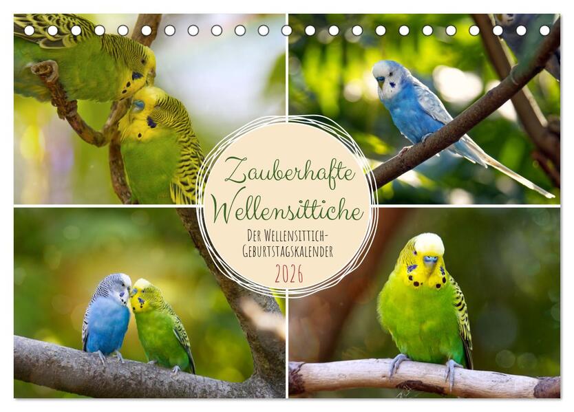 Zauberhafte Wellensittiche (Tischkalender 2026 DIN A5 quer) CALVENDO Monatskalender
