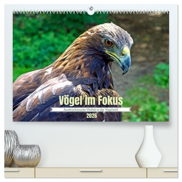 Vögel im Fokus - Ausdrucksstarke Vielfalt in der Vogelwelt (hochwertiger Premium Wandkalender 2026 DIN A2 quer) Kunstdruck in Hochglanz
