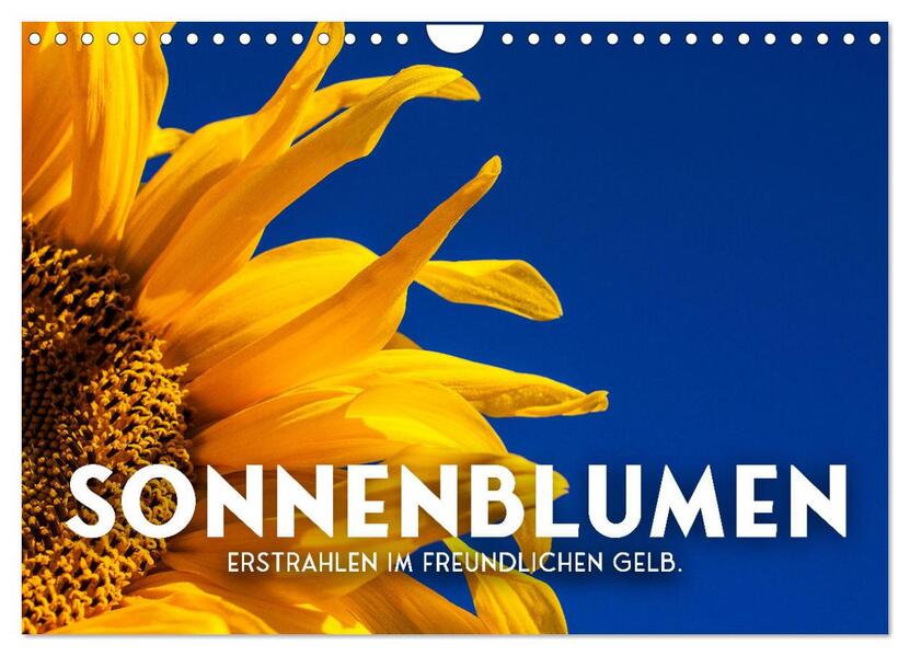 Sonnenblumen - Erstrahlen im freundlichen Gelb. (Wandkalender 2026 DIN A4 quer) CALVENDO Monatskalender