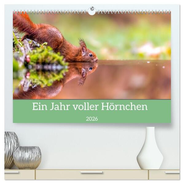 Ein Jahr voller Hörnchen (hochwertiger Premium Wandkalender 2026 DIN A2 quer) Kunstdruck in Hochglanz
