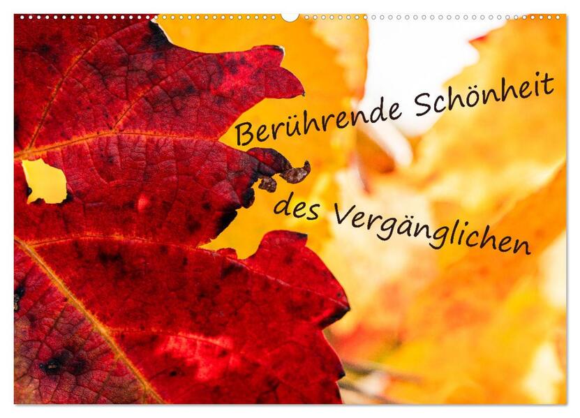 Berührende Schönheit des Vergänglichen (Wandkalender 2026 DIN A2 quer) CALVENDO Monatskalender