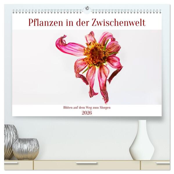 Pflanzen in der Zwischenwelt (hochwertiger Premium Wandkalender 2026 DIN A2 quer) Kunstdruck in Hochglanz