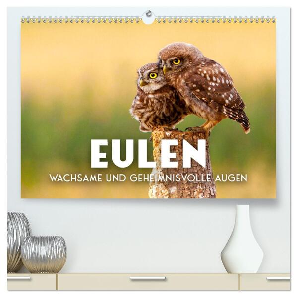 Eulen - Wachsame und geheimnisvolle Augen (hochwertiger Premium Wandkalender 2026 DIN A2 quer) Kunstdruck in Hochglanz