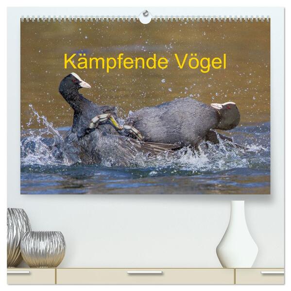 Kämpfende Vögel (hochwertiger Premium Wandkalender 2026 DIN A2 quer) Kunstdruck in Hochglanz