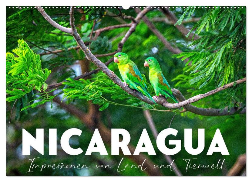 Nicaragua - Impressionen von Land und Tierwelt. (Wandkalender 2026 DIN A2 quer) CALVENDO Monatskalender