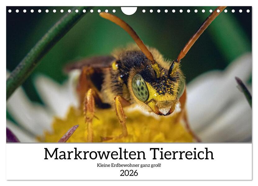 Makrowelten Tierreich (Wandkalender 2026 DIN A4 quer) CALVENDO Monatskalender