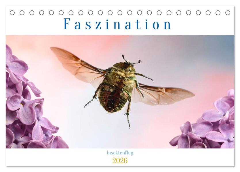Faszination Insektenflug (Tischkalender 2026 DIN A5 quer) CALVENDO Monatskalender