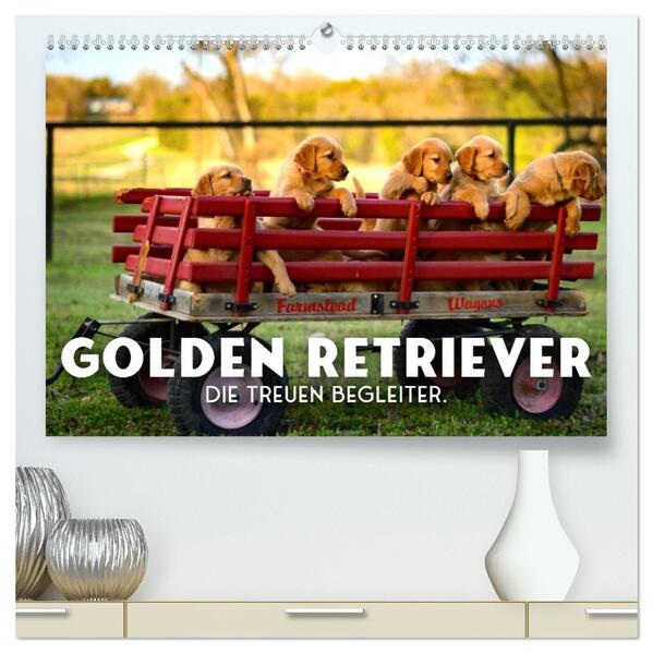Golden Retriever - Die treuen Begleiter. (hochwertiger Premium Wandkalender 2026 DIN A2 quer) Kunstdruck in Hochglanz