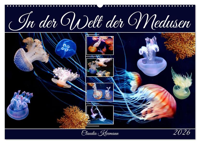 In der Welt der Medusen (Wandkalender 2026 DIN A2 quer) CALVENDO Monatskalender