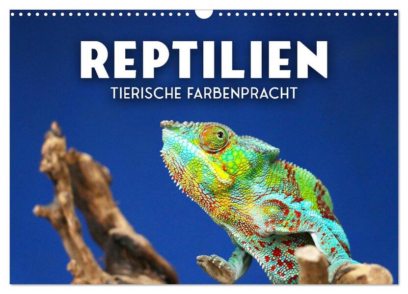 Reptilien - Tierische Farbenpracht (Wandkalender 2026 DIN A3 quer) CALVENDO Monatskalender