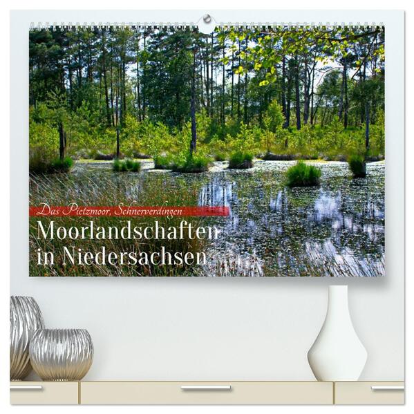 Niedersachsens Moorlandschaften - Das Pietzmoor Schneverdingen (hochwertiger Premium Wandkalender 2026 DIN A2 quer) Kunstdruck in Hochglanz